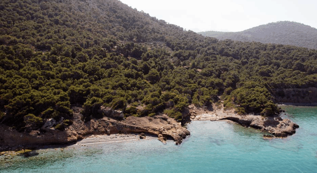 Αγκίστρι:-Τους-έπιασαν-επ’-αυτοφώρω-να-πετούν-απόβλητα-σε-δάσος-–-Πέντε-συλλήψεις