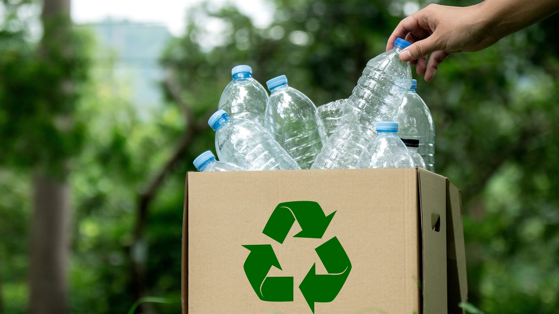 Η-πλαστική-σακούλα-και-το-πλαστικό-μπουκάλι