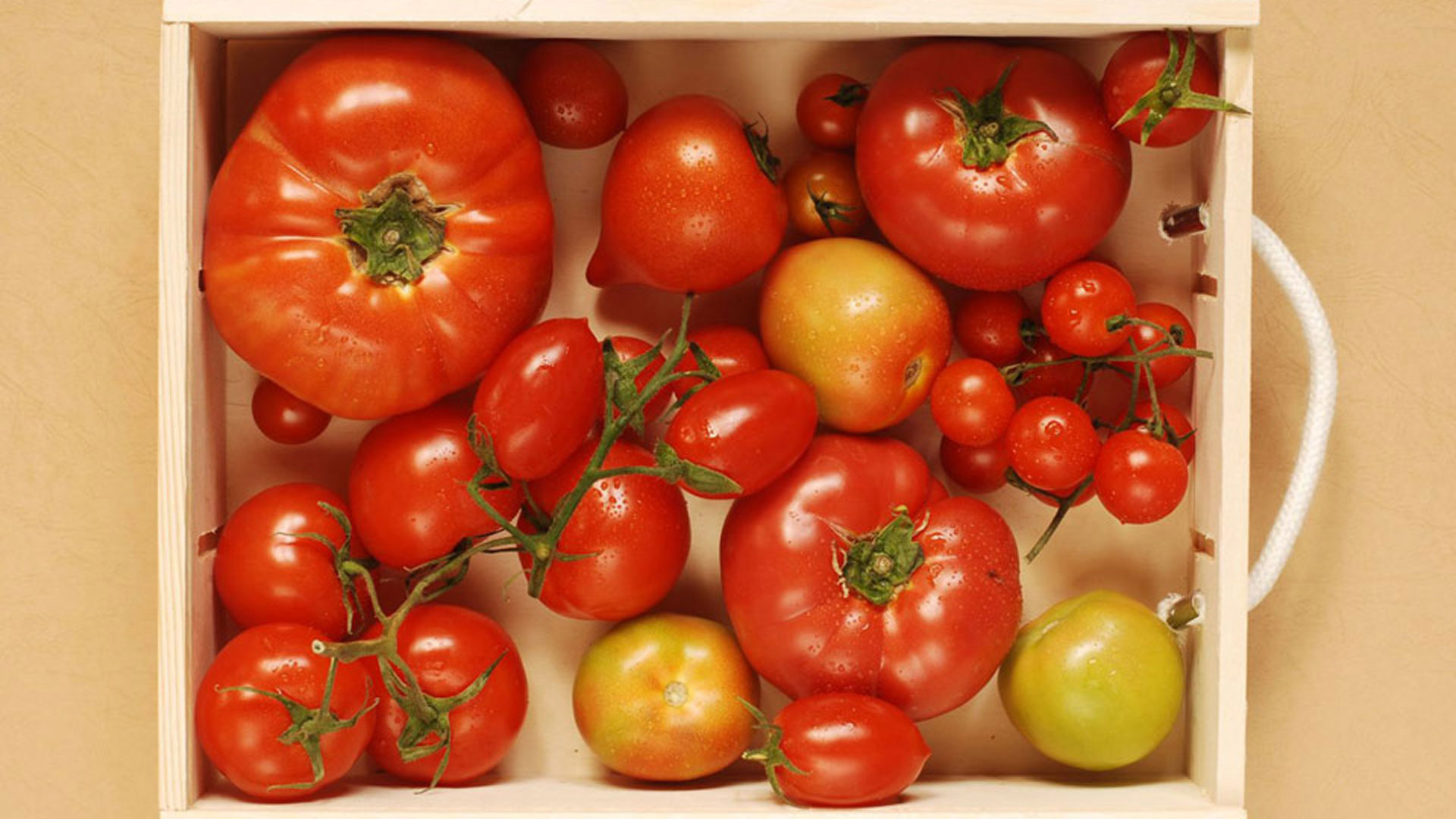 Ο σπόρος που φύτεψε ένας…καπουτσίνος Ο-σπόρος-που-φύτεψε-ένας…καπουτσίνος