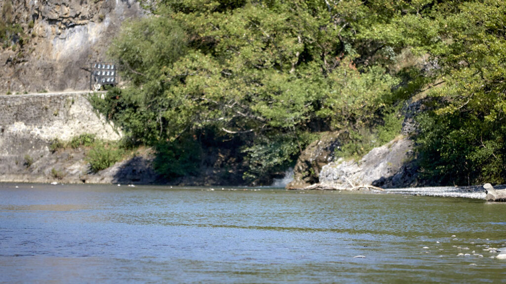 Προστασία-του-Αώου-με-δράσεις-εντός-και-εκτός-συνόρων