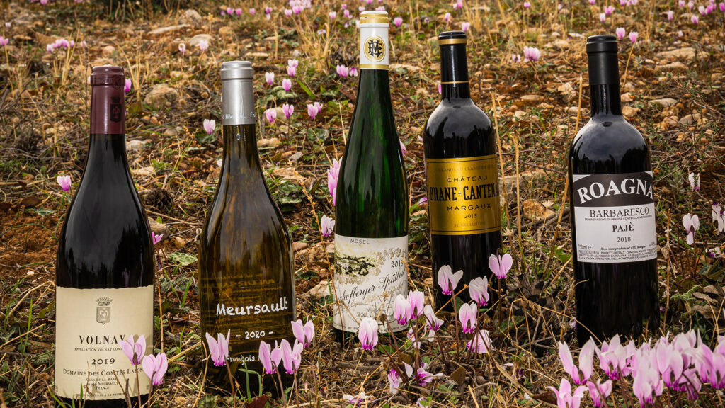 Τι-σημαίνει-τερουάρ;