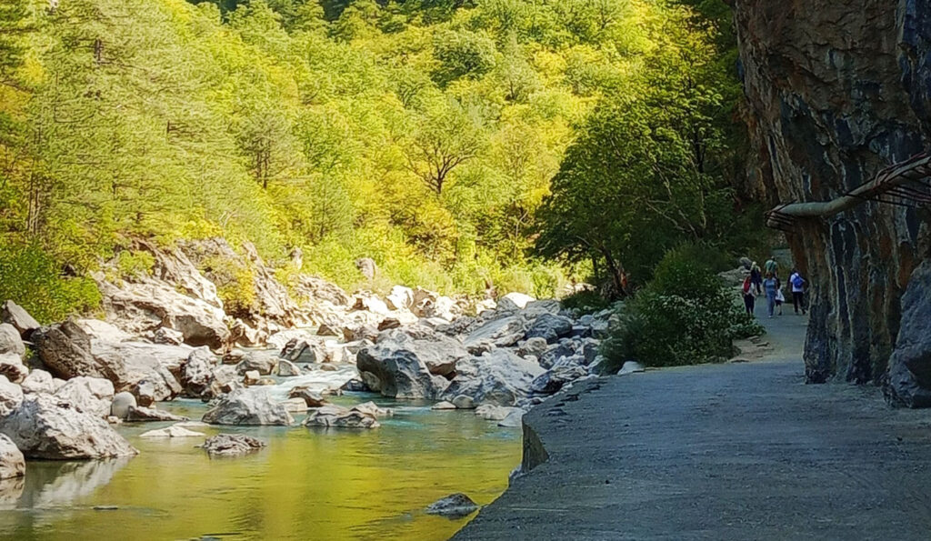 Η «ιερή» διάνοιξη δρόμου στην Κόνιτσα έφερε αντιδράσεις Η-«ιερή»-διάνοιξη-δρόμου-στην-Κόνιτσα-έφερε-αντιδράσεις